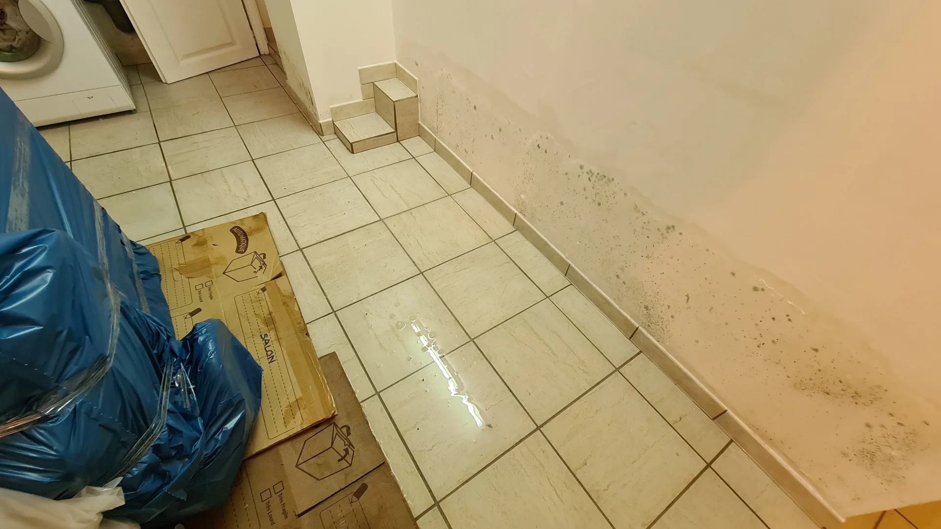 Exemple de humidité maison dans une maison