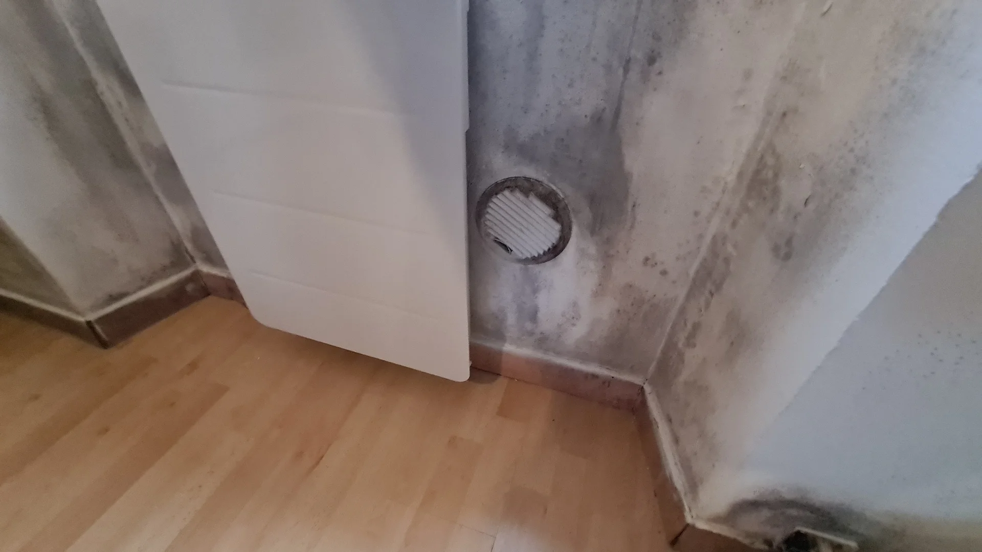Solutions professionnelles pour humidité maison